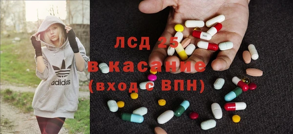 ГАЛЛЮЦИНОГЕННЫЕ ГРИБЫ Сатка