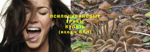 дурь Абдулино