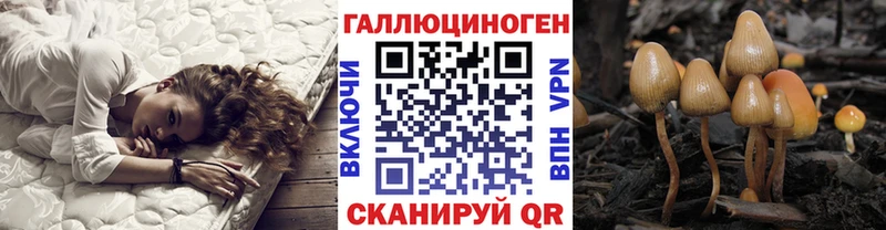 продажа наркотиков Анапа Псилоцибиновые грибы мухоморы